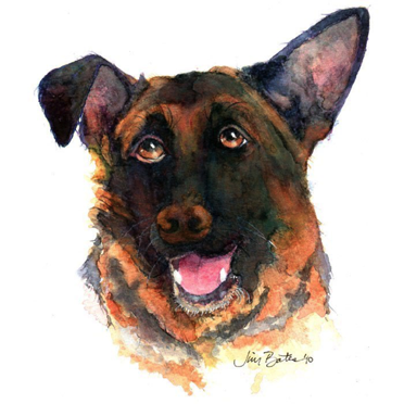 German Shepherd
$210
12 x 12” 
Black wood Frame